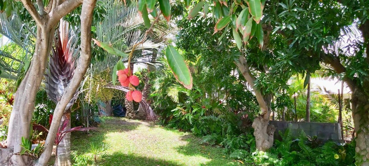 Villa Tropicale - Meuble De Tourisme 4 Etoiles サンジルレバン エクステリア 写真